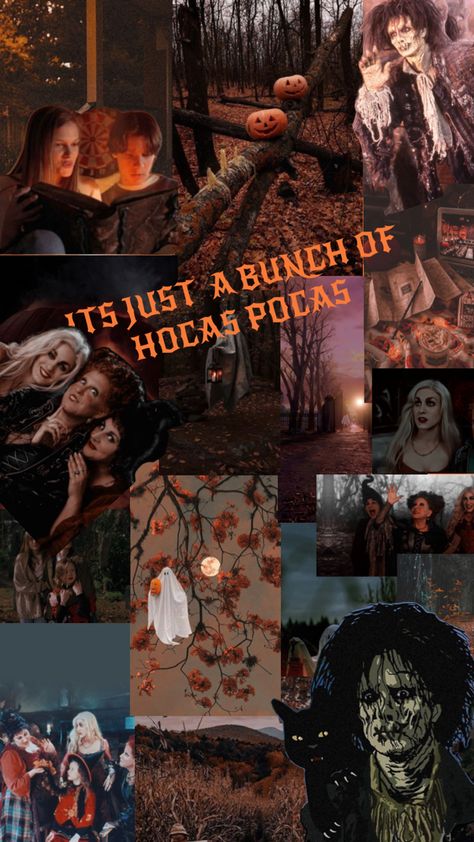 Hocas Pocas Wallpaper, Sanderson Sisters Hocus Pocus, Cute Fall Wallpaper, Fall Wallpaper