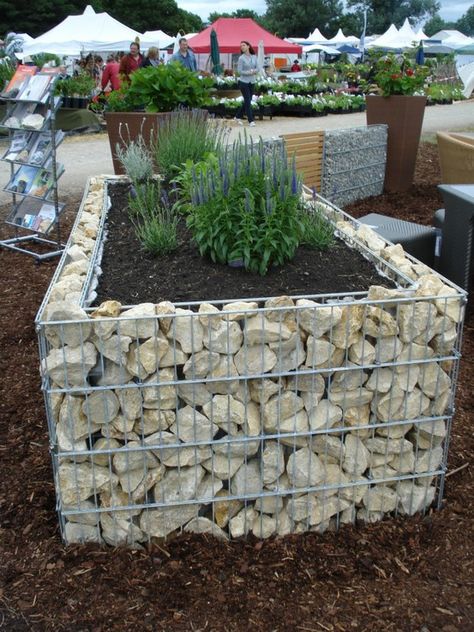 Gabion planer ~i am thinking of making this. Not sure if i really like it, but i think it will be more dog-proof than anything else in my garden... Raised Garden Designs, Kebun Herbal, Container Water Gardens, Raised Bed Garden Design, Building A Raised Garden, Garden Vines, Plants Growing, Diy Raised Garden, Raised Garden Beds Diy