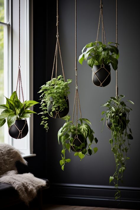 Hanging Plant Ideas to Enhance Your Interior Design - Quiet Minimal Hanging Plants Indoor In Front Of Window, Windows With Hanging Plants, Plants On Wall Shelves, Plants Hanging In Front Of Window, Inside Plant Decor Ideas, Hang Plants In Front Of Window, Plants Hanging From Ceiling Bedroom, Hanging Plants In Room, Hanging Plants In Window