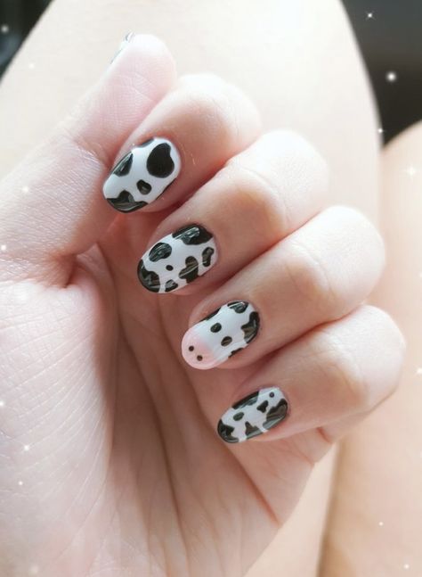 First Time Acrylic Nails Ideas Short, Nails Acrylic Animal Print, White And Cow Print Nails, Cute Nail Designs Cow Print, Cow Spot Nails, Cow Nails Designs Short, Cow Print Nail Ideas Short, Diy Cow Nails, Cow Print Nails Diy