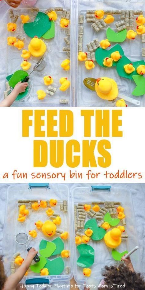 Feed the Ducks Sensory Bin for Toddlers | fun sensory bin ideas for toddlers with rubber duckies. Sensory bins for one year olds, two year olds, and three year olds #toddlers #sensorybins #sensorybinideas Sensory Bin Ideas For Toddlers, Sensory Bin For Toddlers, Sensory Bin Ideas, Toddler Sensory Bins, Baby Sensory Play, Rubber Duckies, Sensory Activities Toddlers, Toddler Sensory, Sensory Boxes