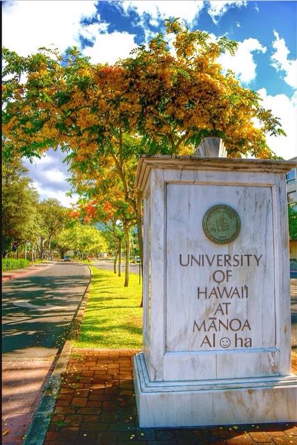 Uh Manoa University Of Manoa Hawaii, University Of Hawaii Manoa, University Of Hawaii At Manoa Campus, Uh Manoa Dorm, Hawaii University Aesthetic, Hawaii Pacific University Aesthetic, Uh Manoa Aesthetic, College In Hawaii Aesthetic, Hawaii College Life