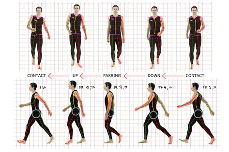 04. Animating a walk cycle – CAVE Academy Reference Photos Walking, Walking Animation Cycle, Drawing Pose Male, Male Front View, Walk Cycle Reference, Animation Cycle, Animation Walk Cycle, Pose Male, Cycle Design