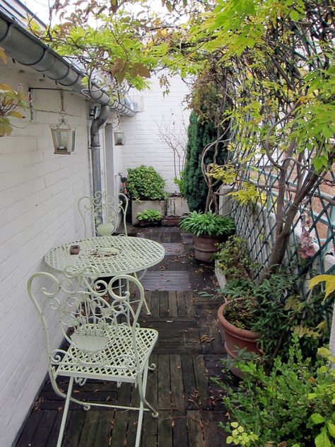 Beautiful small space garden in Paris. Apartment Balcony Garden, Narrow Garden, Space Garden, Small Courtyard Gardens, Courtyard Gardens Design, Small Courtyards, Small Space Gardening, Apartment Garden, Small Backyard Design