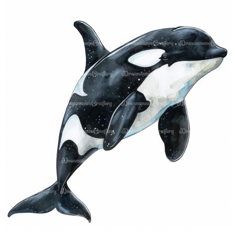 Majestic Cartoon Orca Marine Animal Watercolor Art Printable High Quality JPG Papercraft Junk Journal Scrapbooking Digital Download On Etsy: dreamweavecraftery.etsy.com #cute #cartoon #watercolor #clipart #art #papercraft #designing #craft #junkjournal #printable #download #scrapbooking #collage #orca #ocean #sea #marine #animal #wildlife Cartoon Orca, Orca Illustration, Cute Orca, Art Papercraft, Monogram Wallpaper, Scrapbooking Collage, Animal Watercolor, Orca Whale, Whale Art