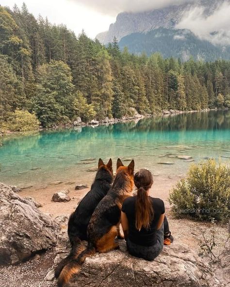 Dog Photoshoot Pet Photography, German Shepherd Photos, Marley And Me, Hiking Pictures, Hiking Dogs, Popular Dog Breeds, Most Popular Dog Breeds, Adventure Aesthetic, Belgian Malinois