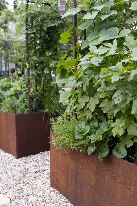 Vege Garden Design, Modern Vegetable Garden, Raised Veggie Gardens, Vegetable Garden Boxes, Kitchen Gardens, Garden Boxes Raised, Vegetable Planters, Corten Steel Planters, Steel Planters