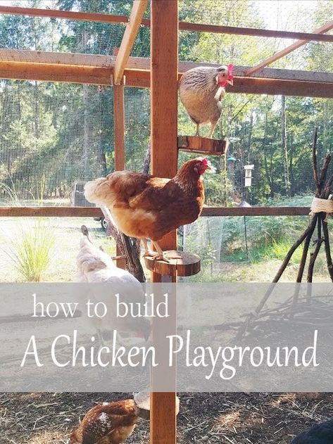 Chicken Run Playground, Chicken Playground, Reban Ayam, Chicken Roost, Cute Chicken Coops, Chicken Coop Garden, Backyard Chicken Coop Plans, Diy Chicken Coop Plans, Chicken Toys