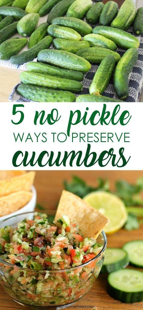 Cucumber Baked Recipes, Cucumber Mint Jam, Too Many Cucumbers, Sauteed Cucumber Recipes, Cucumber Salsa Canning Recipe, Preserve Cucumbers, Preserving Cucumbers, Store Cucumbers, How To Store Cucumbers