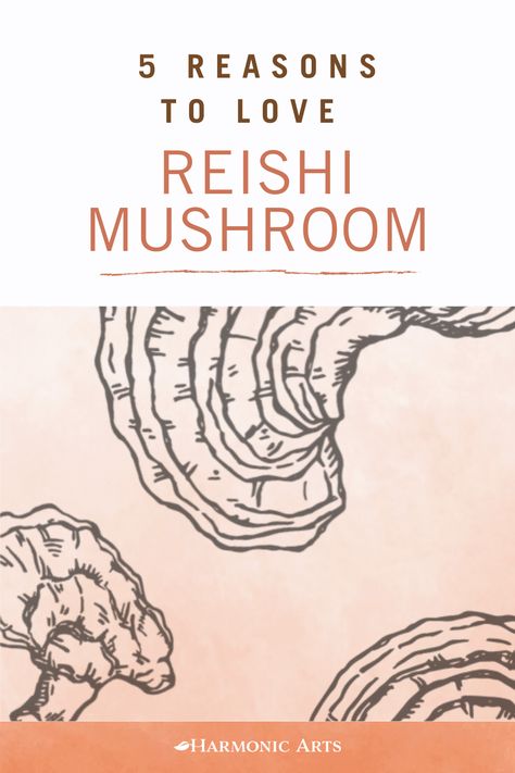 Read more about the adaptogenic benefits of Reishi Mushroom and how it supports stress and grounding. Red Reishi Mushroom Benefits, Reishi Mushroom Recipe, Reishi Mushroom Tea, Reishi Mushroom Benefits, Functional Mushrooms, Plant Sterols, Mushroom Tea, Adrenal Health, Mushroom Powder