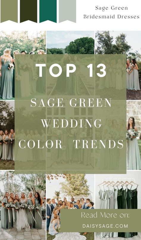 Step into a world of elegance with these top 13 sage green wedding color theme ideas for 2025. Discover the perfect blend of softness and sophistication for your dream wedding. Wedding Color Theme Ideas, Wedding Color Themes, Green Wedding Palette, Green Fall Weddings, Sage Green Wedding Theme, Sage Green Wedding Colors, Olive Green Weddings, Elegant Wedding Themes, Wedding Color Palettes