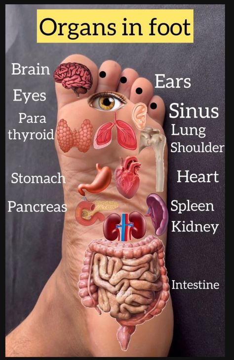 Eye Health Remedies, Healing Reflexology, Foot Reflexology Massage, Body Massage Techniques, Hand Reflexology, Reflexology Chart, Latihan Yoga, Reflexology Massage, Foot Reflexology