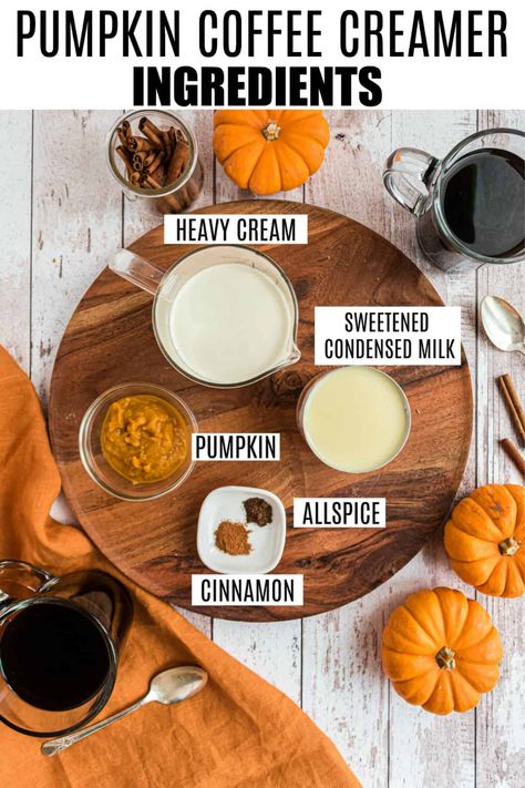 Best Pumpkin Spice Creamer, Fall Coffee Creamer Recipe, Homemade Pumpkin Spice Coffee Creamer With Sweetened Condensed Milk, Pumpkin Spice Creamer Recipe Homemade, Homemade Pumpkin Coffee, Pumpkin Spice Coffee Creamer Recipe, Pumpkin Spice Creamer Recipe, Homemade Creamer, Pumpkin Creamer