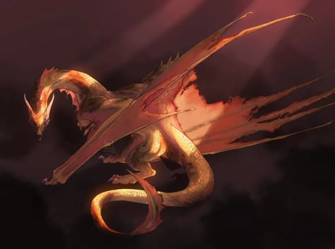 🐉 Kit 🐉 | 𝐊𝐢𝐧𝐠 𝐀𝐞𝐠𝐨𝐧'𝐬 𝐠𝐥𝐨𝐫𝐲 "According to Archmaester Gyldayn, Sunfyre was the most beautiful dragon ever seen in the known… | Instagram Mythical Drawings, Asoiaf Dragons, Targaryen Dragons, Mythical Creature Art, Hotd Dragons, Dragon Anatomy, Game Of Thrones Dragons, Targaryen Art, Asoiaf Art