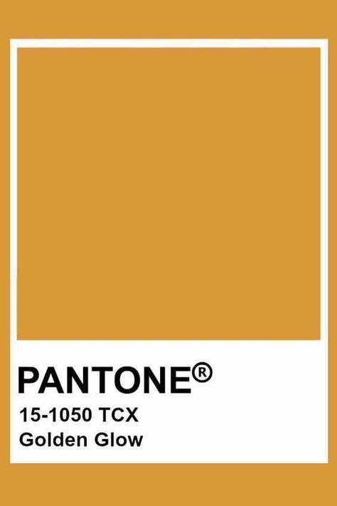 Pantone Colors Gold, Mustard Yellow Pantone, Golden Pantone, Ochre Aesthetic, Ochre Sofa, Ochre Walls, Ochre Bedroom, Golden Color Palette, Ochre Paint