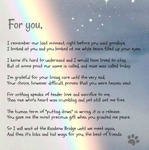 Dog Heaven Quotes, Quotes Rainbow, Pet Poems, Miss My Dog, Dog Poems, Heaven Quotes, Dog Heaven, Losing A Dog, A Poem