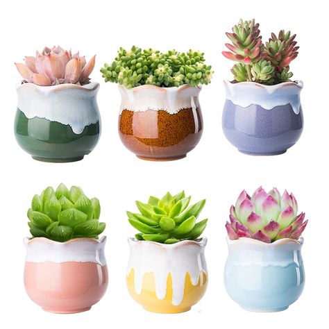 Mini Cactus Plants, Ceramic Succulent Pots, Cactus Plant Pots, Ceramic Succulent Planter, Cactus Planta, Hanging Planters Indoor, Small Flower Pots, Ceramic Succulent, Mini Cactus