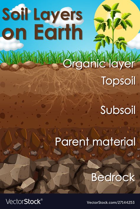 Soil Classification, Earth Vector, Ag Education, Earth Science Lessons, Earth Layers, Nature Education, Earth Illustration, Environmental Education, Interesting English Words