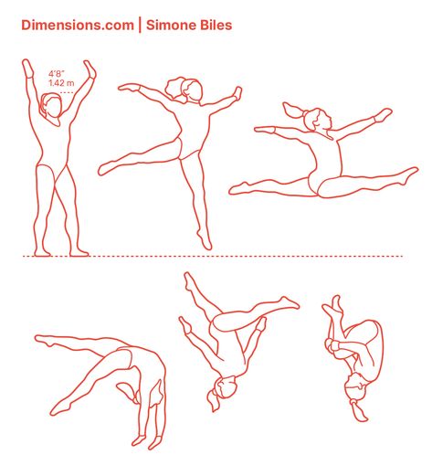 Simone Biles is probably the only female USA gymnast to take home world medals in every gymnastic event. Hence, considered the greatest gymnast alive. She is also famous for executing challenging skills with precision. She holds a collection of thirty World Championship and Olympic medals. Downloads online #sports #gymnastics Simone Biles Drawing, Gymnastics Poses Drawing, Sports Gymnastics, Gymnastics Events, Cute Wolf Drawings, Gymnastics Skills, Human Figure Sketches, Gymnastics Pictures, Olympic Medals