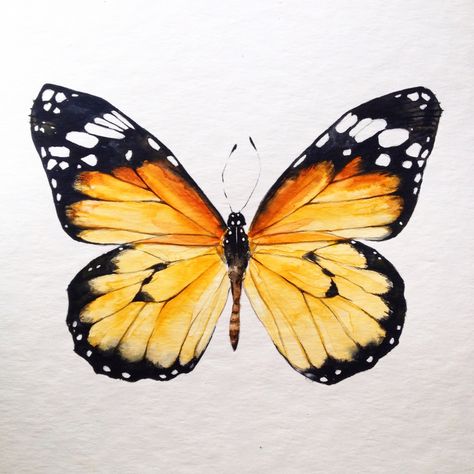 A Butterfly, Baby Room, Butterflies, Orange, White, Black, Instagram, Art