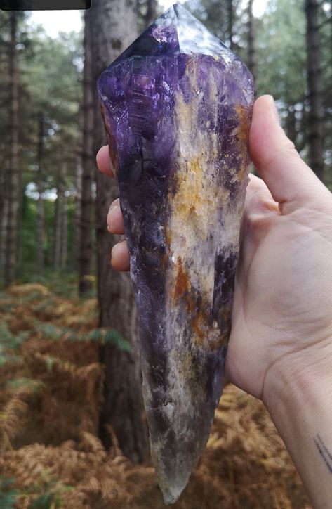 Dear Fellow Light Beings 💜 I Truly Am Blessed To Be Able To Share With You This Giant Raw Elestial Amethyst Crystal Wand Or Amethyst Root Or Dragons Tooth As They Can Be Known. She Is A Totally Unique High Vibration Natural Statement Piece. . I Feel Honoured To Have Been In The Presence Of Such Power. . The Tip Is Of Deep Purple Amethyst with Dark Phantoms As You Can See In The Stunning Photos. The Remainder of the Root has some areas of Smokey Amethyst and some Iron Inclusions along the Outsid Light Beings, Photo Mood, Raw Amethyst, Crystal Wand, Wow Factor, Spiritual Gifts, Raw Crystal, Amethyst Crystal, Purple Amethyst