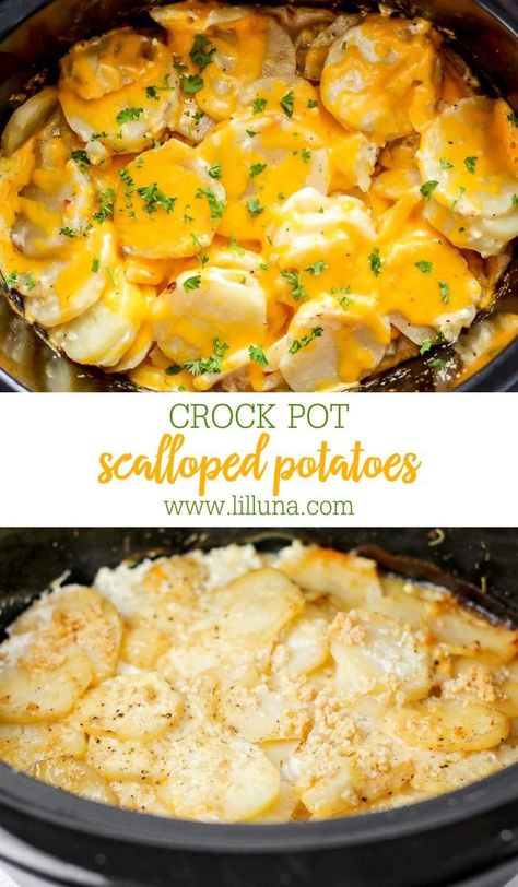 Creamy Crock Pot Scalloped Potatoes are a great side to any meal. You only need a few ingredients and the slow cooker! #crockpot #slowcooker #scallopedpotatoes #potatoes #sidedish Slow Cooker Scalloped Potatoes Cheese, Cheese Potatoes Crockpot, Crockpot Vegetables, Crock Pot Scalloped Potatoes, Crockpot Scalloped Potatoes, Crockpot Sides, April Recipes, Church Desserts, Crockpot Potatoes