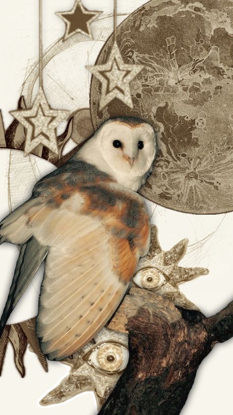 Barn Owl Barn Owl Aesthetic, Dark Cottagecore Wallpaper, Owl Aesthetic, Barn Owl Art, Cottagecore Wallpaper, Owl Wallpaper, Owl Pictures, Owl Art, Bird Drawings