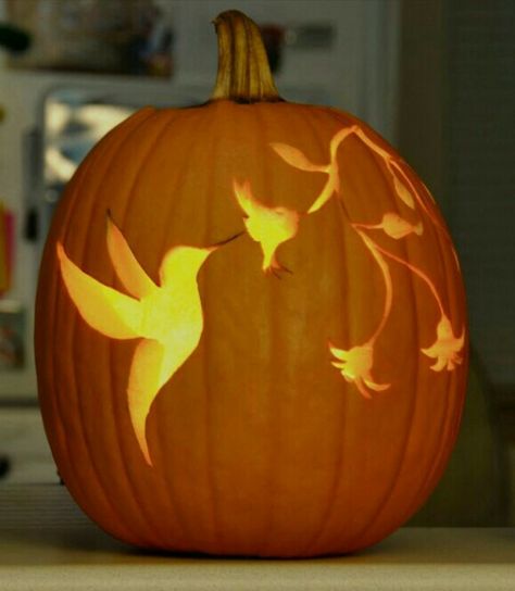 Hummingbird Bird Pumpkin Carving, Bird Pumpkin, Cute Pumpkin Carving, Pumkin Carving, Halloween Pumpkin Carving Stencils, Pumpkin Carving Party, Creative Pumpkin Carving, Amazing Pumpkin Carving, Pumpkin Carving Designs