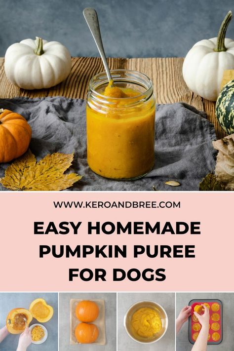 The top main image is a glass jar of pumpkin puree with a spoon in it which is surrounded by pumpkins and a leaf. The title reads, "easy homemade pumpkin puree for dogs". The bottom image shows four steps from the recipe. Can Dogs Eat Pumpkin, Pumpkin For Dogs, Making Pumpkin Puree, Summer Dog Treats, Make Pumpkin Puree, Cook Pumpkin, Frozen Dog Treats Homemade, Frozen Dog Treats, Cooking Pumpkin