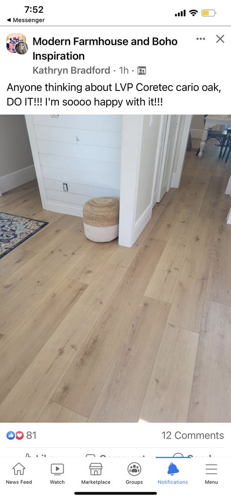 Light Neutral Flooring, Blonde Flooring Living Rooms, Cosmetic Home Updates, Blond Lvp Flooring, Wood Vynil Flooring Ideas, Hardwood Floors Bedroom Ideas, New Floors Before And After, Blonde Vinyl Plank Flooring, Popular Floor Colors