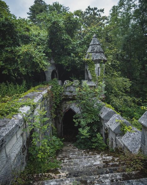 A Peculiar Ghost is Haunting Europe's Abandoned Castles Buildings Taken Over By Nature, Abandoned Garden Aesthetic, Forest Castle Aesthetic, Castle In Forest, Abandoned Forest, Abandoned Garden, Castle Forest, Green Castle, Forest Castle