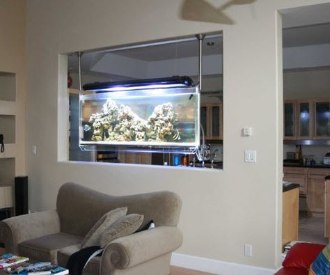 creative small fish tank | Look Ma, No Tables: The Hanging Aquarium Fish Tank Wall, Wall Aquarium, Amazing Aquariums, Fish Tank Stand, Diy Fish Tank, Fish Tank Design, Aquarium Stand, Home Aquarium, Aquarium Design