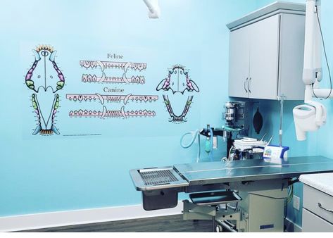 Veterinary Surgery Room Design, Veterinary Exam Room Design, Veterinary Practice Design, Veterinary Clinic Decor, Vet Clinic Layout, Veterinary Exam Room Ideas, Euthanasia Room Vet Clinic, Vet Clinic Organization, Veterinary Exam Room