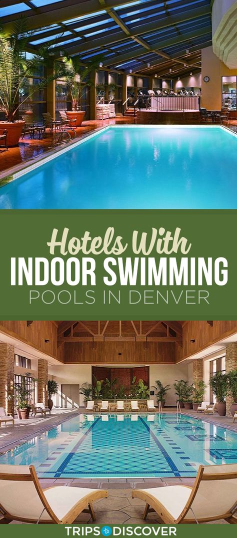 7 Best Denver Hotels With Indoor Swimming Pools Asia Culture, Denver Hotels, Business Ads, Adventurous Travel, Indoor Pools, Adventure Landscape, Travel Photography Tips, Hotel Pool, Unique Hotels