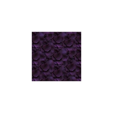 0 Wedding Aisle Runners, Rose Petal Aisle, Fake Rose Petals, Black Plants, Aisle Runners, Silk Rose Petals, Silk Rose, Eggplant Purple, All Things Purple