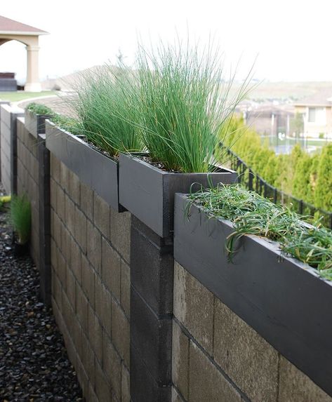 These are long, rectangular planter boxes to sit on top of a wall or deck.  We weren’t looking for a rustic look, something more sleek and minimal, which is why we chose the longer size. Problem was, we couldn’t find any in the size and length we needed. So, it was time to DIY! Here is our tutorial for our DIY modern outdoor planters. Be sure to click through at the end to see all the photos and steps for this tutorial! We wanted planters both 4 feet and 8 feet long to fit in sect… Modern Outdoor Planters, Diy Cedar Planter Box, Modern Planters Outdoor, Diy Planters Outdoor, Front Porch Planters, Planter Box Plans, Fence Planters, Porch Planters, Cedar Planters