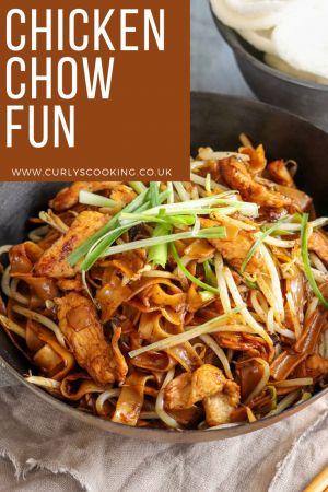 Chicken Chow Fun Recipe, Chicken Chow Fun, Chow Fun Noodles, Chow Fun Recipe, Chinese Noodle Dishes, Chow Fun, Delicious Rice, Chicken Chow Mein, Sweet Sour Chicken