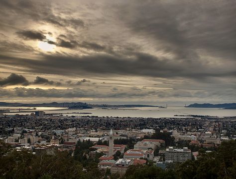 Berkeley Hills, Reading Inspiration, Berkeley California, East Bay, Best Places To Live, San Francisco Bay Area, Best Cities, Bay Bridge, The Question