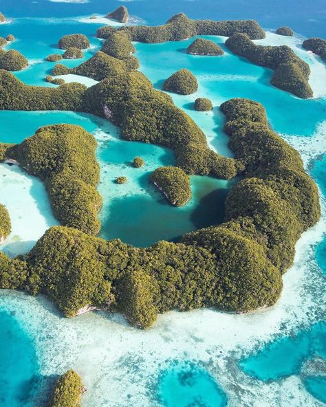 Palau Aesthetic, Palau Island, Paradise Places, Get Paid To Travel, Paid To Travel, Island Destinations, Traveling Abroad, Coral Reefs, Napoleon Hill