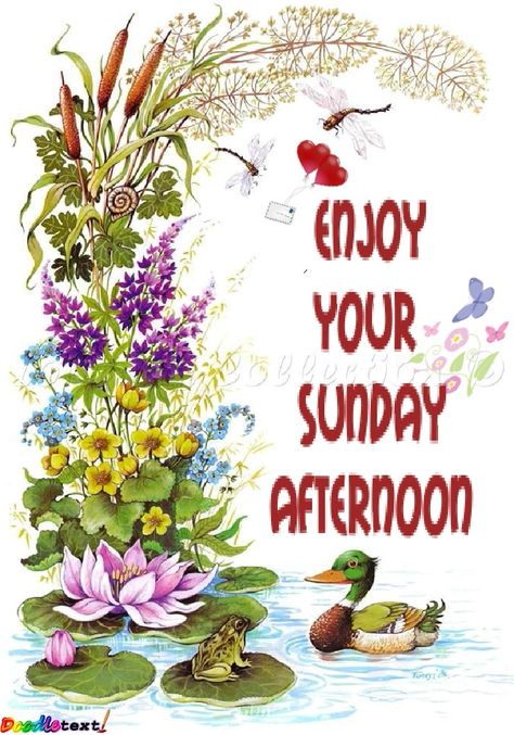 Good Afternoon Sunday, Friday Inspirational Quotes, Sunday Greetings, Morning Quotes For Friends, Good Afternoon Quotes, Sunday Images, Enjoy Your Sunday, Good Morning Wednesday, Hello Sunday