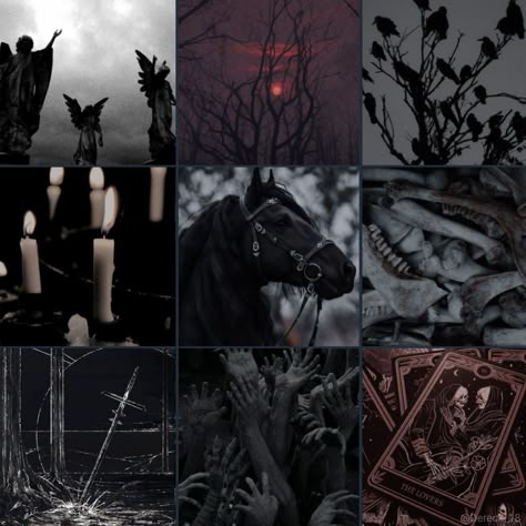 Mood Board Dark Aesthetic, Knight Moodboard, Animal Moodboard, Dark Mood Board, Fantasy Moodboard, Dark Academia Room Ideas, Black Moodboard, Character Mood Boards, Fursona Ideas