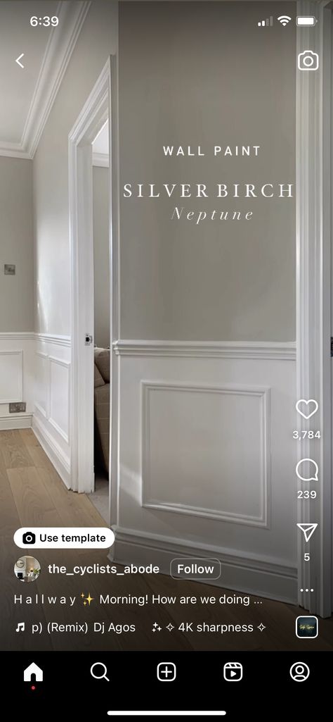 Neptune Silver Birch Paint, Silver Birch Paint Color, Silver Birch Neptune Paint, Hallway Paint Colors, Silver Color Palette, Chicago Living, Office Loft, Living Room Panelling, Hallway Paint