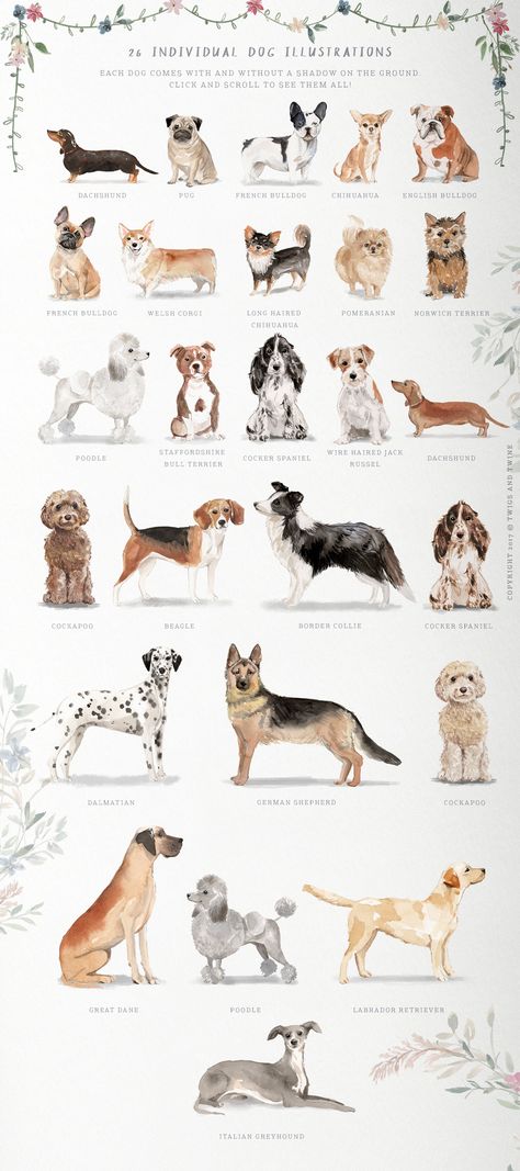 Muddy Paws- Dog Lover Graphics by Twigs and Twine on @creativemarket Dogs Clipart, Watercolor Dogs, Fun Artwork, Lakeland Terrier, Norfolk Terrier, Graphic Drawing, Dog Watercolor, Dog Birthday Card, Food Dog