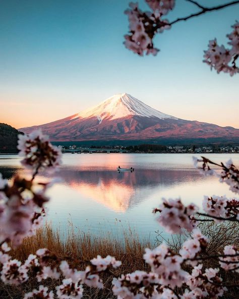 Mount Fuji, Gunung Fuji, Volcano Pictures, Mount Fuji Japan, Japan Cherry Blossom, Fuji Mountain, Monte Fuji, Japan Landscape, Mont Fuji