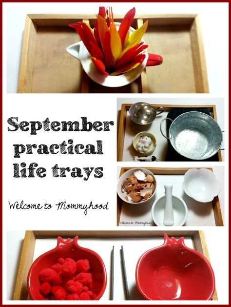 Montessori inspired September practical life and fine motor activities for preschoolers by Welcome to Mommyhood #montessori, #practicallife, #finemotoractivities Fine Motor Activities For Preschoolers, Motor Activities For Preschoolers, Life Activities, Practical Life Activities, Montessori Lessons, Apple Unit, Montessori Homeschool, Montessori Practical Life, Montessori Toddler Activities