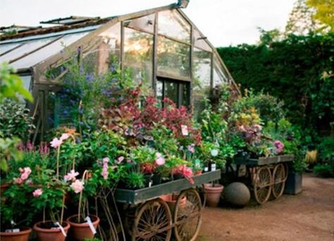 Petersham nurseries- Richmond: Greenhouse Restaurant, Country Nursery, Richmond London, Petersham Nurseries, Conservatory Garden, Kentish Town, Glass Houses, Green Houses, Greenhouse Ideas