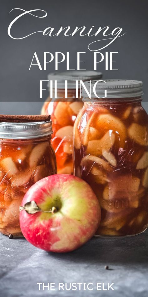 Homemade Pie Filling, Canning Apple Pie Filling, Canning Apples, Apple Pie Filling Recipes, Homemade Apple Pie Filling, Crumble Pie, Canned Apple Pie Filling, Pie Filling Recipes, Best Apple Pie