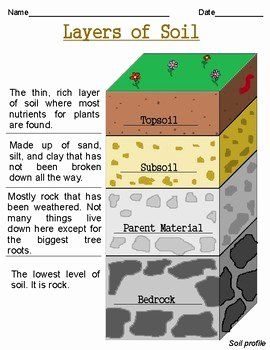 Layers Of soil Worksheet Unique soil Quiz by Alison Crawford – Chessmuseum Template Library Layers Of Soil Anchor Chart, Layers Of Soil Worksheet, Soil Layers Project, Soil Worksheet, Layers Of Soil, Praxis Test, Summative Test, Grade 3 Science, Soil Science