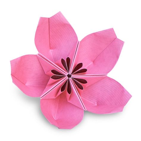 Sakura Origami, Origami Artist, Origami And Kirigami, Origami Design, How To Fold, Kirigami, Software Engineer, Instructional Video, Video Tutorials