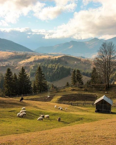 Ukraine Nature, Ukraine Aesthetic, Pretty Landscapes, Alam Yang Indah, Nature Aesthetic, Haiku, Farm Life, Country Life, Beautiful World